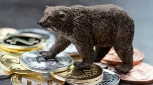 What Is a Crypto Bear Market?